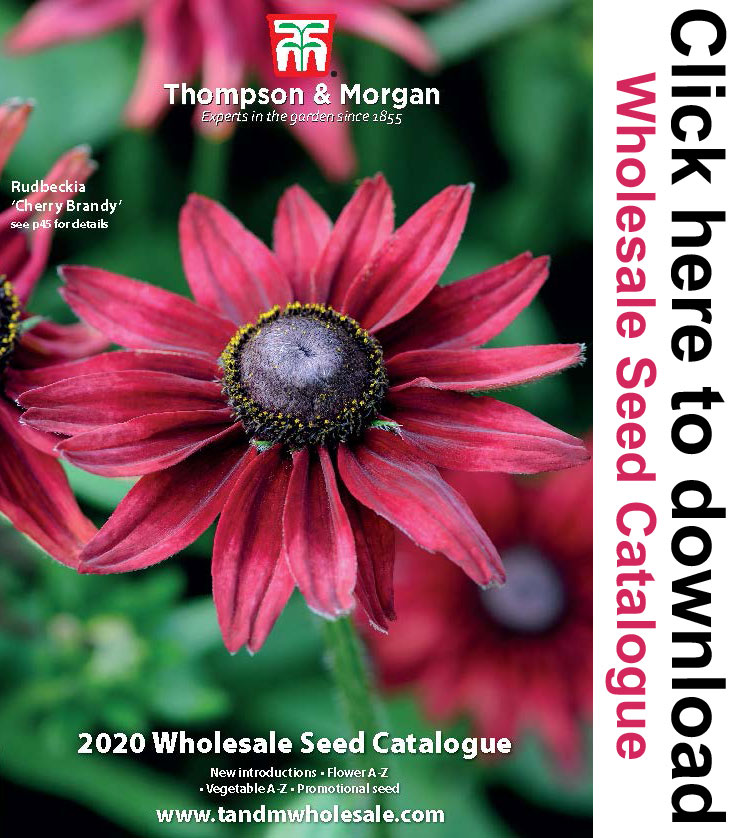 Wholesale Seed Catalogue from Thompson & Morgan Wholesale